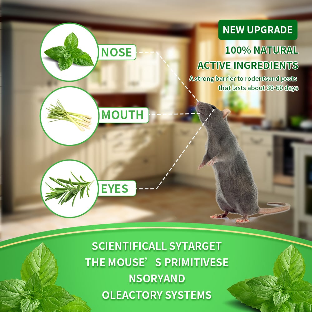 12- Pack Popular Natural Rodent Repellent Balls